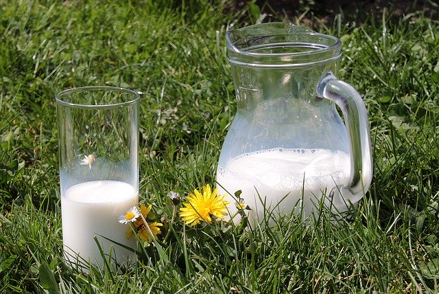 Кубань стала вторым в России регионом с самой вкусной молочной продукцией