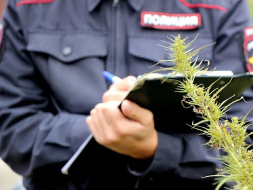 В Краснодаре судят 20-летнего жителя Армавира за наркотики