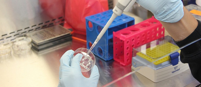 На Кубани за сутки зафиксировали еще 44 новых случая коронавируса