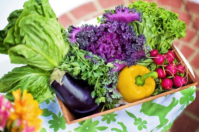 В Армавире планируется собрать почти 500 тонн овощей