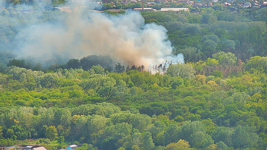 Лесной пожар в поселке Прикубанском локализован. ФОТО