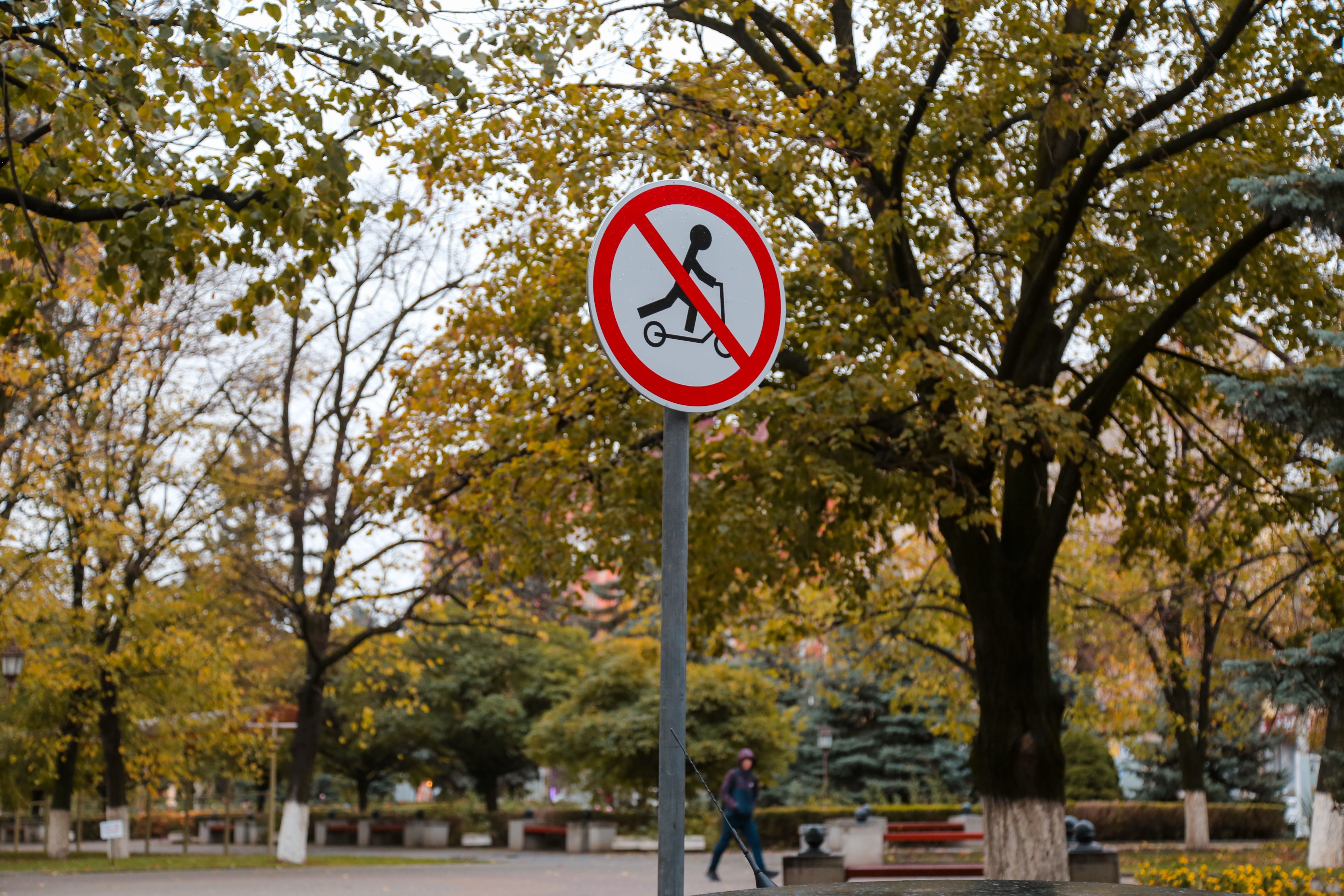 В парках и скверах Армавира появились дорожные знаки «Движение средств индивидуальной мобильности запрещено»