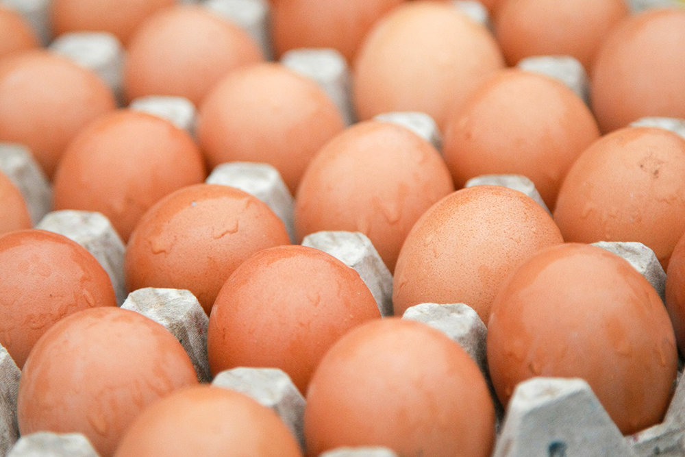 В Армавире уничтожили больше 20 тысяч потенциально опасных куриных яиц