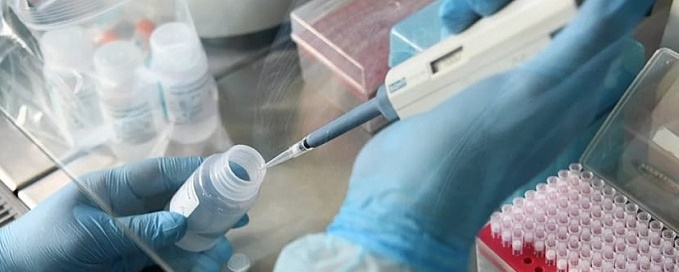 Новых случаев коронавируса на Кубани не зарегистрировано
