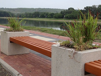Водяные лилии и канны украсят парк «Городская роща»