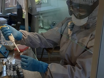 В лаборатории Армавирского инфекционного госпиталя с апреля сделали 79800 анализов на COVID-19