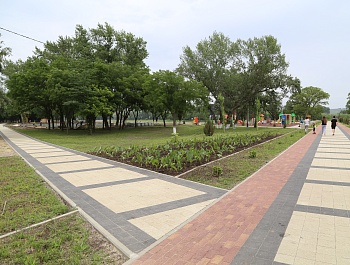 Водяные лилии и канны украсят парк «Городская роща»