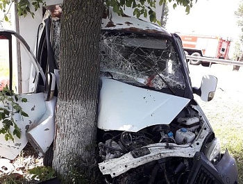 «Приора» и дерево: спасатели помогли водителю после ДТП на трассе под Армавиром